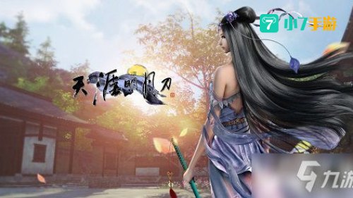 天涯明月刀 职业