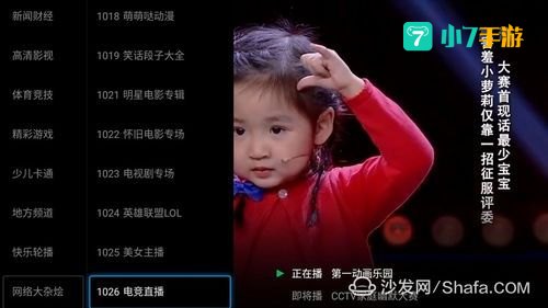 小鹰直播