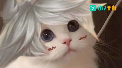 王者荣耀猫咪头像