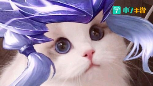 王者荣耀猫咪头像
